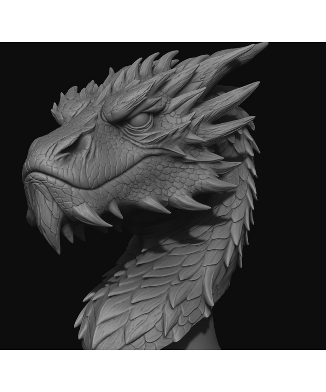 Smaug Bust